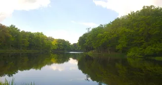 Sentier du Moulin Chabrou_3