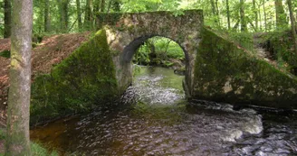 Sentier du Moulin Chabrou_1