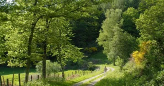 Sentier des étangs à Saint-Gence_1