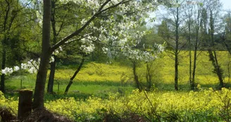 Sentier du bois des fées_4