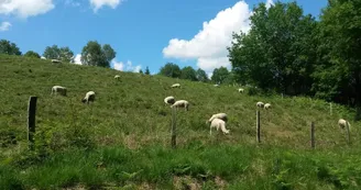 Sentier des bergères_1