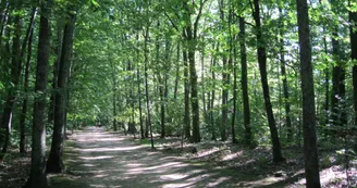 Sentier Bastide-Uzurat_4