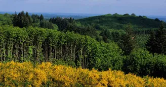 La Grande boucle du Parc Périgord-Limousin_1