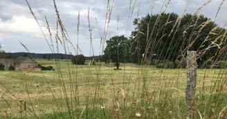 Boucle de Limoges à Saint-Pardoux Coeur de Nature (étape 1)_6