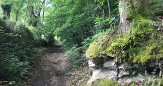 Boucle de Limoges à Saint-Pardoux Coeur de Nature (étape 2)_17