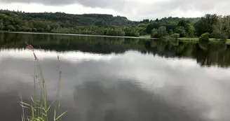 Boucle de Limoges à Saint-Pardoux Coeur de Nature (étape 2)_3