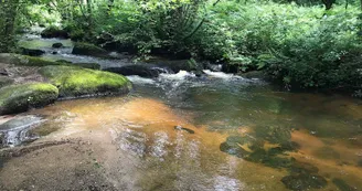 Boucle de Limoges à Saint-Pardoux Coeur de Nature (étape 3)_7