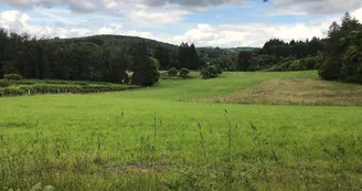 Boucle de Limoges à Saint-Pardoux Coeur de Nature (étape 3)_12