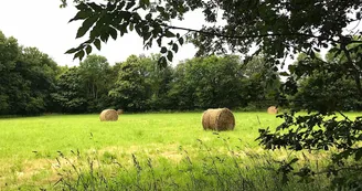 Boucle de Limoges à Saint-Pardoux Coeur de Nature (étape 3)_5