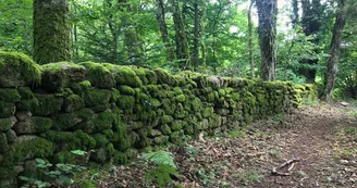 Boucle de Limoges à Saint-Pardoux Coeur de Nature (étape 3)_11