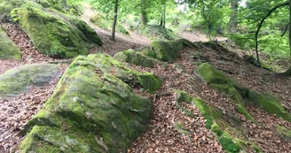 Boucle de Limoges à Saint-Pardoux Coeur de Nature (étape 3)_13