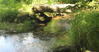 Boucle de Limoges à Saint-Pardoux Coeur de Nature (étape 4)_14