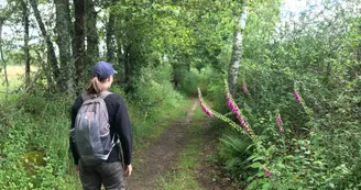 Boucle de Limoges à Saint-Pardoux Coeur de Nature_5