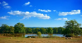 La Traversée du Haut Limousin_3