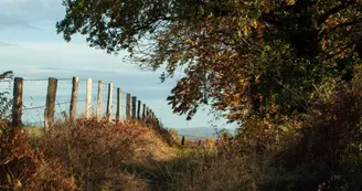 La Traversée du Haut Limousin_5