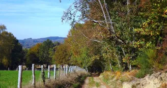 La tombe du marchand_2