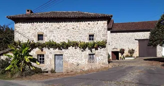 Sentier de la forêt_2