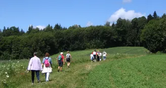 Randonneurs sur le chemin qui mène au Grand Puyconnieux_1