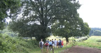 Randonneurs sur le chemin entre Vilalebesoin et La Côte_2