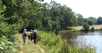 Sentier de randonnée, passage chaussée de l'étang de Chenevières_1