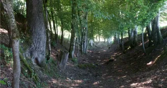 Sentier de Meilhac_1