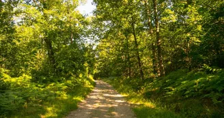 Sentier de la croix du loup_1