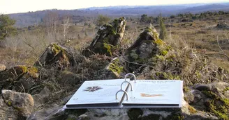 Sentier d'interprétation Landes du Cluzeau et de la Flotte_2