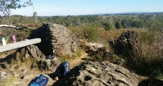 Sentier d'interprétation Landes du Cluzeau et de la Flotte_3