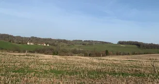 Boucle cyclotouristique La forêt de Meuzac_1