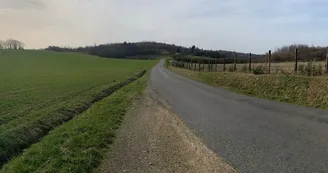 Boucle cyclotouristique La forêt de Meuzac_3