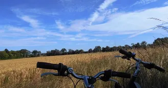 C20 circuit cyclo en famille autour de Saint-Sulpice-les-Feuilles et du Lac de Mondon_1