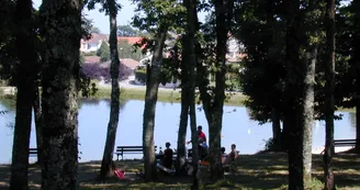 Balade du côté de la Vienne (cyclo 20 km)_1