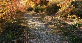 Circuit Uni'Vert Trail n°3 "Via Agrippa"_1