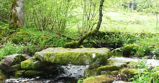 Le chemin de l’eau.jpg_1