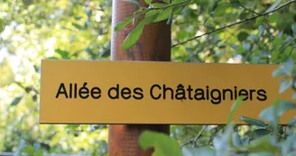 alleechataigniers