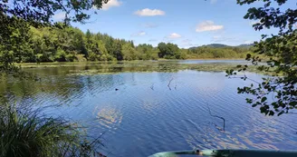 Auriat - Chemin du borg d'étang du Moulin de la Farge - Pays Monts et Barrages - Aurélien Clavreul