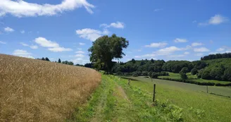 Auriat - la Pelade - Circuits VTT 5 et 6 - Pays Monts et Barrages - Aurélien Clavreul