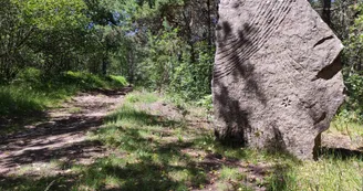 Beaumont-du-Lac - Autour du Bois de Crozat