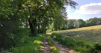 Bujaleuf - les Hauts de Bujaleuf - Pays Monts et Barrages - Aurélien Clavreul (2)