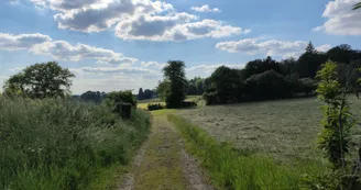 Bujaleuf - les Hauts de Bujaleuf - Pays Monts et Barrages - Aurélien Clavreul (3)