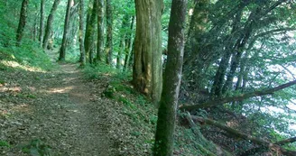 Sentier "Les Hauts de Bujaleuf"_3