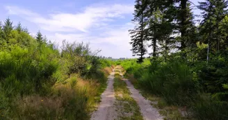 Champnétery - Chemin du Bois Jaury 