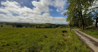 chemin dans campagne