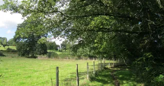 Chemin du Moulin Blanc