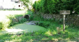 fontaine