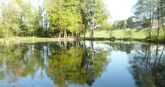 Forêt des Vaseix sentier la promenade de Chamberet_3