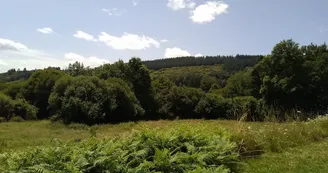 forêt monts d'ambazac