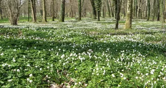 Parc du Mas Jambost une belle journée d'avril