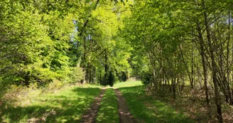 Photo d'appel 2 - Chemin du Puy Vieux 