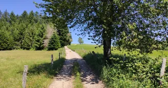 Photo vitrine 1 -Sur le chemin du Léry 